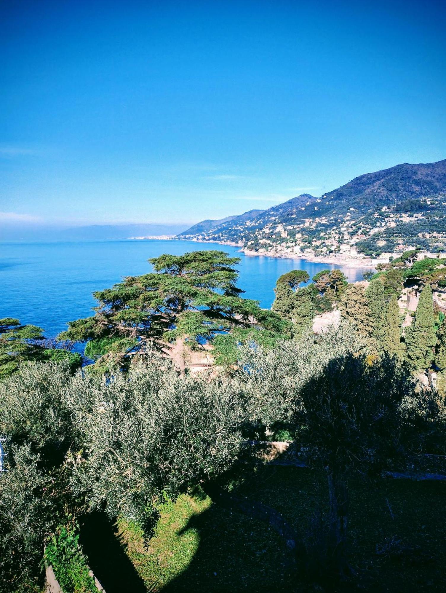 La Conchiglia Bed & Breakfast Camogli Kültér fotó