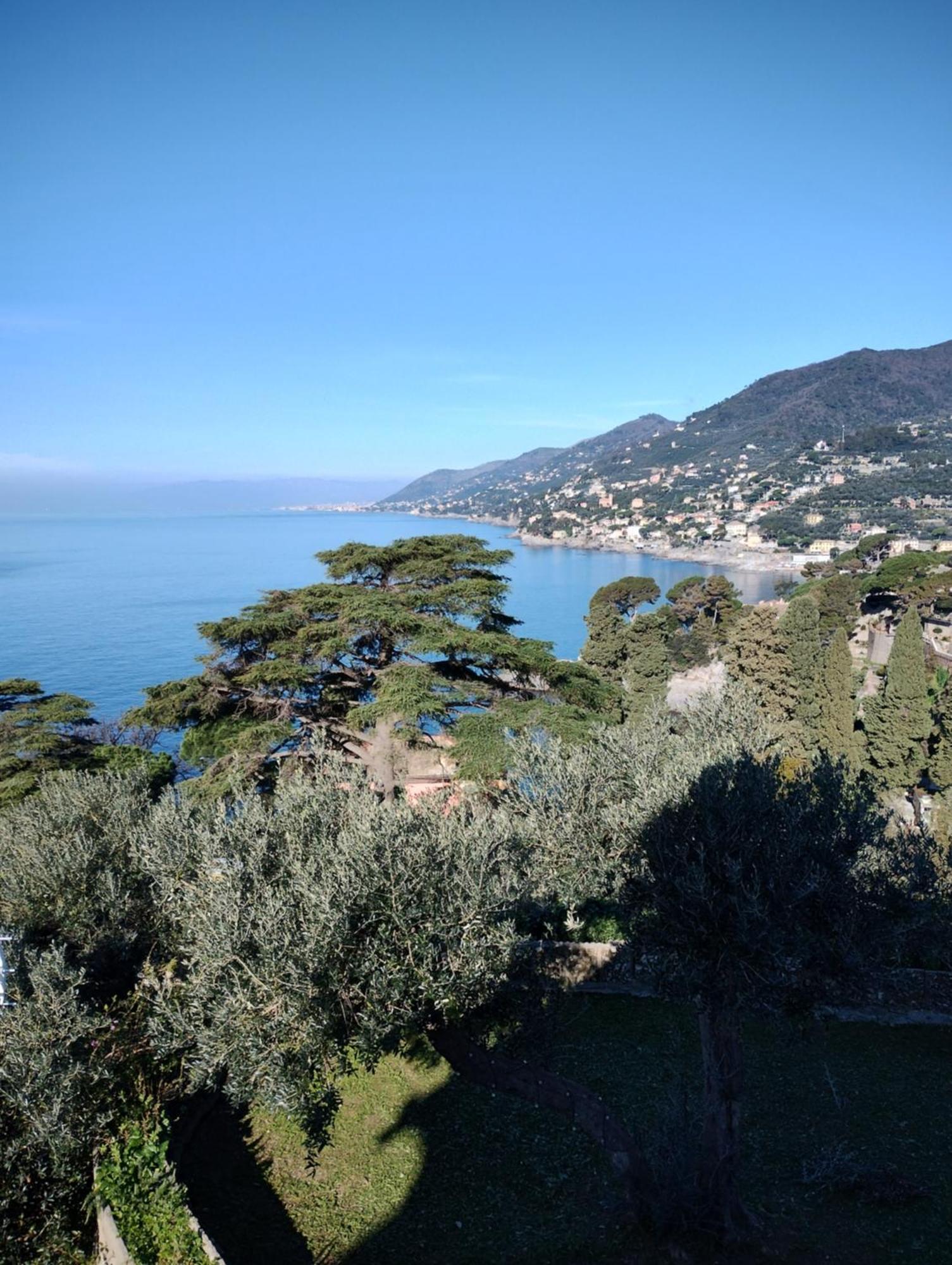 La Conchiglia Bed & Breakfast Camogli Kültér fotó